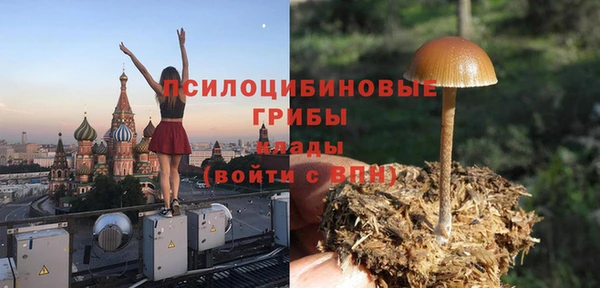 mdpv Лагань