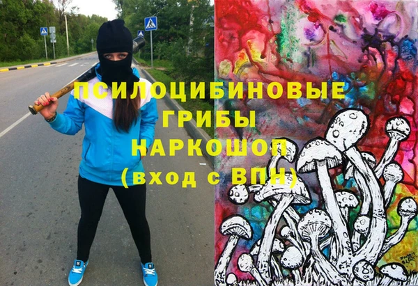 винт Ладушкин