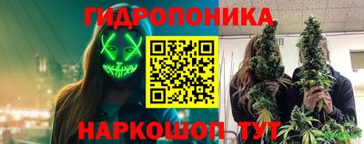 ECSTASY Будённовск