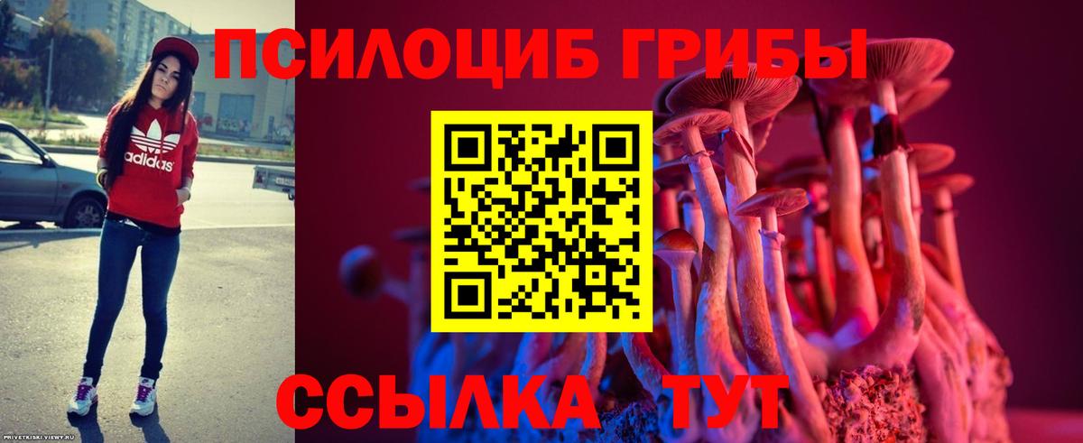 Дзержинский  Галлюциногенные грибы прущие грибы  Псилоцибиновые грибы ЛСД  Вход с VPN 